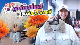 Vlog เกาหลี 1 วัน ช้อปเสื้อผ้ามือสอง | ดูใบไม้เปลี่ยนสีที่ Jangtaesan | MJ Special