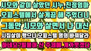 [카카오실화사연]시모와 같이 살았던 시누,친정엄마오피스텔에서 살게끔 해 주었더니 시모와 살면서 나 대신시집살이 했으니 오피스텔 명의 바꿔달라하네요?빌붙어 산 주제에.개가웃겠다.