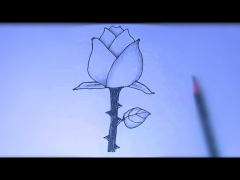 Cara Menggambar Bunga][ Step By Step][ Pencil 2 B - YouTube