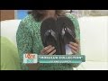 Island Slippers: Mokulua Collection