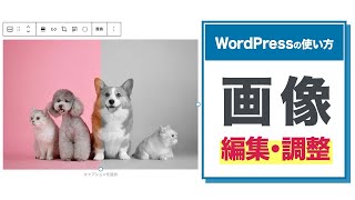 WordPressの画像 編集・調整方法【WordPressの使い方/初心者向け】