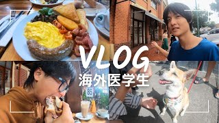 【海外医学生vlog】オーストラリア医学生の冬休みの朝｜ケアンズ｜