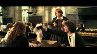 If John Williams Scored Harry Potter and the Goblet of Fire (Dress Robes)