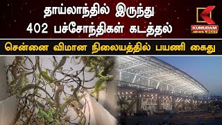 Chameleons Smuggling From Thailand To Chennai Airport: தாய்லாந்தில் இருந்து 402 பச்சோந்திகள் கடத்தல்