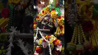 हर सूरत में तेरी सूरत नज़र आने लगी है |🙏Shri Gaurav Krishna Goswami Ji #bankebihari #shorts