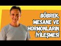 BÖBREK, MESANE VE HORMONLARIN İYİLEŞMESİ | Ünal Güner