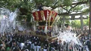 勇壮華麗 ふとん太鼓2009 ～百舌鳥の秋祭り～(5/5)