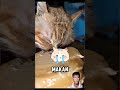 Hal ini berfungsi untuk mem/lembut dinding tanah #subcribeguys #cat #faktaunik #kontruksi #short