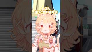 名前を知らない猫たち…🐈#日向猫めんま #vtuber #shorts