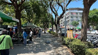 2024年3月31日 好久沒有來逛高雄花市！高雄勞工公園花市有什麼好玩的東西呢？ 很久不見的蜂腰石斛蘭！