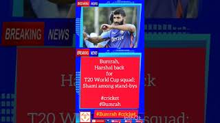 Bumrah, Harshal back for T20 World Cup squad; Shami among stand-bys #shorts #news #politics