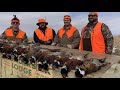 pheasant hunt at thunderstik lodge. feb 25 29 2020