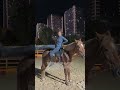 骑马的快乐❤️🥰 horseriding horsevideo horses horses