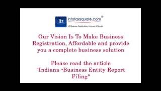 Indiana Business Entity Report Filing