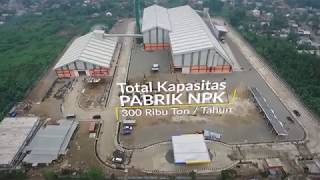 Company  Profile PT Pupuk Sriwidjaja Palembang