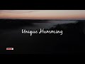 Nasheed - Unique Humming
