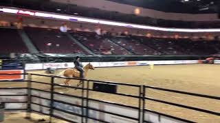 SR Guy on Fire - All In Barrel Race - Las Vegas 2022