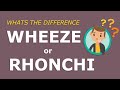 Wheeze or Rhonchi: What is the difference (Super simple explanation!)