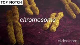 Inside a Living Cell | Journey Through Microscopic Life