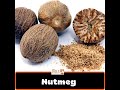 8 Ways To Cook With Nutmeg