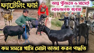 খাসি ছাগল মোটাতাজাকরণ পদ্ধতি | ফ্যাটেনিং খামার | fattening goat farm | fattening goat feed