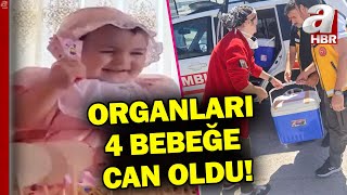 Duru bebeğin organları 4 bebeğe can oldu! | A Haber