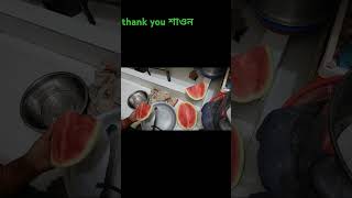 শাওন যখন আমাদের জন্য তরমুজ নিয়ে আসলো। #fllower #highlight #guddu #family #তরমুজ@Guddufamily520