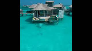 #instagram @wanttobeinmaldives #travel #maldive