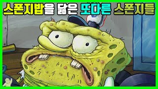 스폰지밥을 제외한 바닷속 '스폰지'는 누가 있을까?