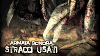 Make the revolution - Armata Sonora feat. Genesi e Cux