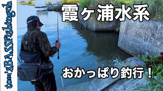 【霞ヶ浦　バス釣り 冬】初冬のおかっぱり！定番ポイントをランガンしていく！