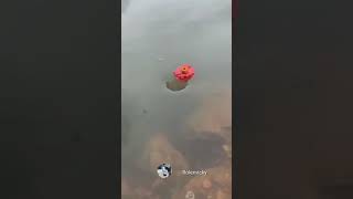 நீர் சுழற்சி 😱😱😱 beautiful water funny 😜