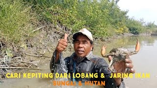 REJEKI MELIMPAH 🔥 Cari kepiting bakau 🦀pasang jaring ikan mujair di sungai #video