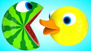 Pacman Duck meets a watermelon friend as he find surprise box and roll on farm