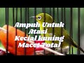 UNTUK ATASI KECIAL KUNING MACET TOTAL