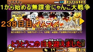 ゆっくり実況【１から始める無課金にゃんこ大戦争】２３８日目超ネコ祭でとうとう迎えてしまった