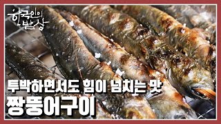 [한국인의 밥상] 항상 변함없이 자리를 지켜주는 갯벌은 마을 사람들에겐 삶의 터전과도 같다 “펄에 살고 지고, 갯마을 사람들” (KBS 20220901 방송)