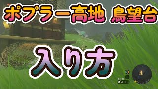 【ゼルダの伝説 ティアキン】ポプラー高地鳥望台入り方