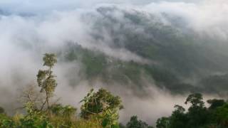 Dooars Heaven Land Chuinkim,  West Bengal