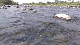 dharmapuri harur mampatty  my  river water  going one  week