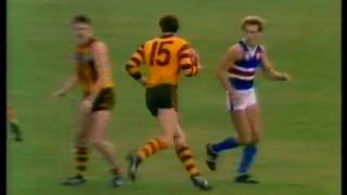 FNWB.com.au - 1983: Round 4, Hawthorn v Footscray HSV 7, Q4