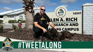 TweetAlong: Take Your Dog To Work Day