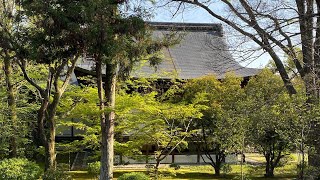 【日本の旅⑥】京都4 アート探訪と神社仏閣　2024.7.14 下鴨神社/龍安寺/仁和寺/妙心寺/広隆寺