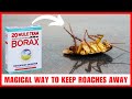 How To Use Borax For Cockroaches (Will It Really Work on Them?)