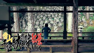 雷山千如寺大悲王院紅葉Vlog