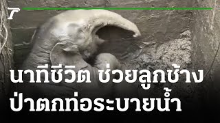 นาทีชีวิต ช่วยลูกช้างป่าตกท่อระบายน้ำ | 13-07-65 | ข่าวเที่ยงไทยรัฐ