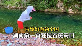 湖南原始森林清澈见底的溪流，石斑马口泛滥，下杆就中鱼，太过瘾