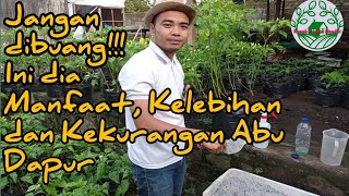 Ini dia!! Manfaat, kelebihan dan kekurangan Abu Dapur. Yuk disimak,!!