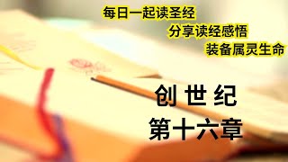 创世纪   第十六章   每日读圣经   分享读经感悟   每日听圣经 Daily Bible reading Daily Bible Listening