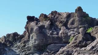 山形県にある日本海側最大の十六羅漢岩を見てきたよ〜数年の月日をかけて彫ったらしいです⚒️ご安全に！🛶#十六羅漢岩#サンセット十六羅漢#石彫#供養石仏群#海上安全#遊佐町#トビウオ出汁スープラーメン